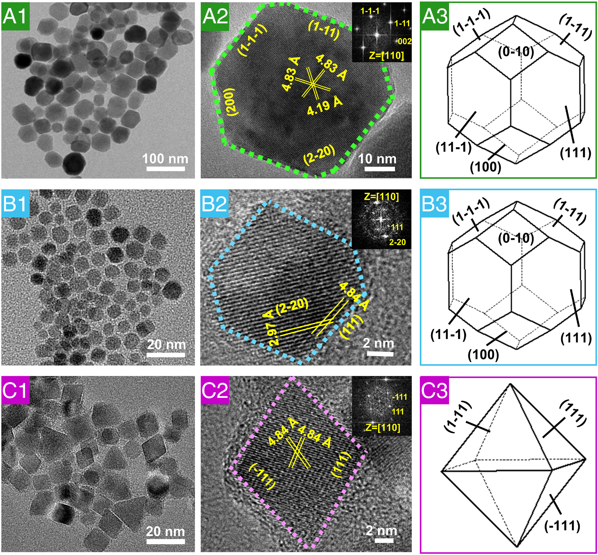 HRTEM characterization of natural magnetosomes, magnetosome-like MNPs, and magnetic nanocrystals from the control reaction. (A1) and (A2) High-resolution electron micrographs and (A3) three-dimensional morphology of natural magnetosome crystals from AMB-1. (B1) and (B2) High-resolution electron micrographs and (B3) three-dimensional morphology of magnetosome-like MNPs. (C1) and (C2) High-resolution electron micrographs and (C3) three-dimensional morphology of MNPs from the control reaction. The insets in (A2), (B2), and (C2) show the corresponding fast Fourier transform patterns of the crystal structure.