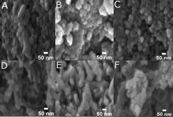 Scanning electron microscopy (SEM) images of the synthesized nanoparticles. (A) Hydroxyapatite (HAP), (B) Magnesium doped hydroxyapatite (MgHAP), (C) Zinc doped hydroxyapatite (ZnHAP), (D) Hydroxyapatite-urea (HAU), (E) Magnesium doped hydroxyapatite-urea (MgHAU), and (F) Zinc doped hydroxyapatite-urea (ZnHAU).