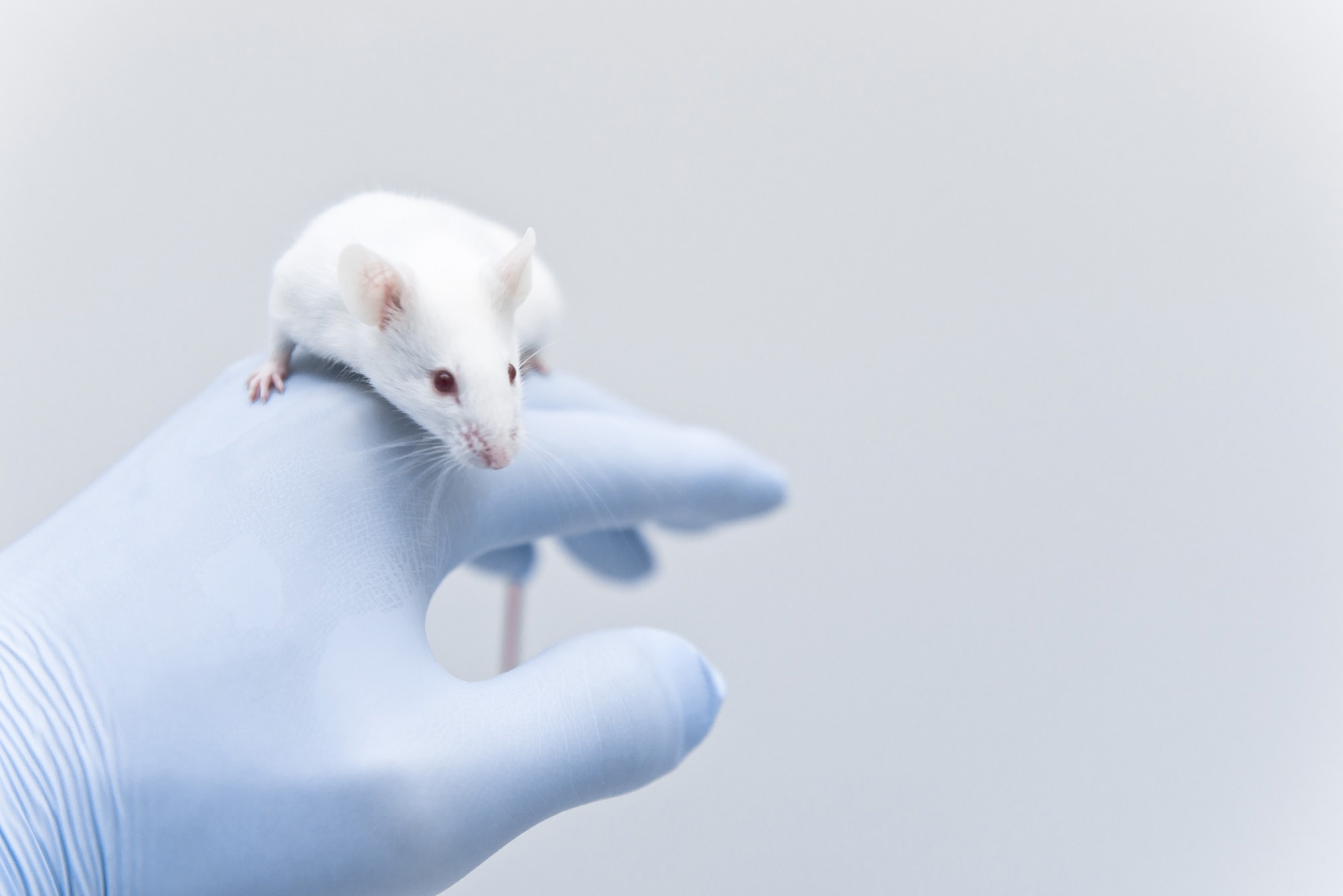Nanotech Strategy Could Suppress Genetic Arthritis in Mice, Suggests New Study