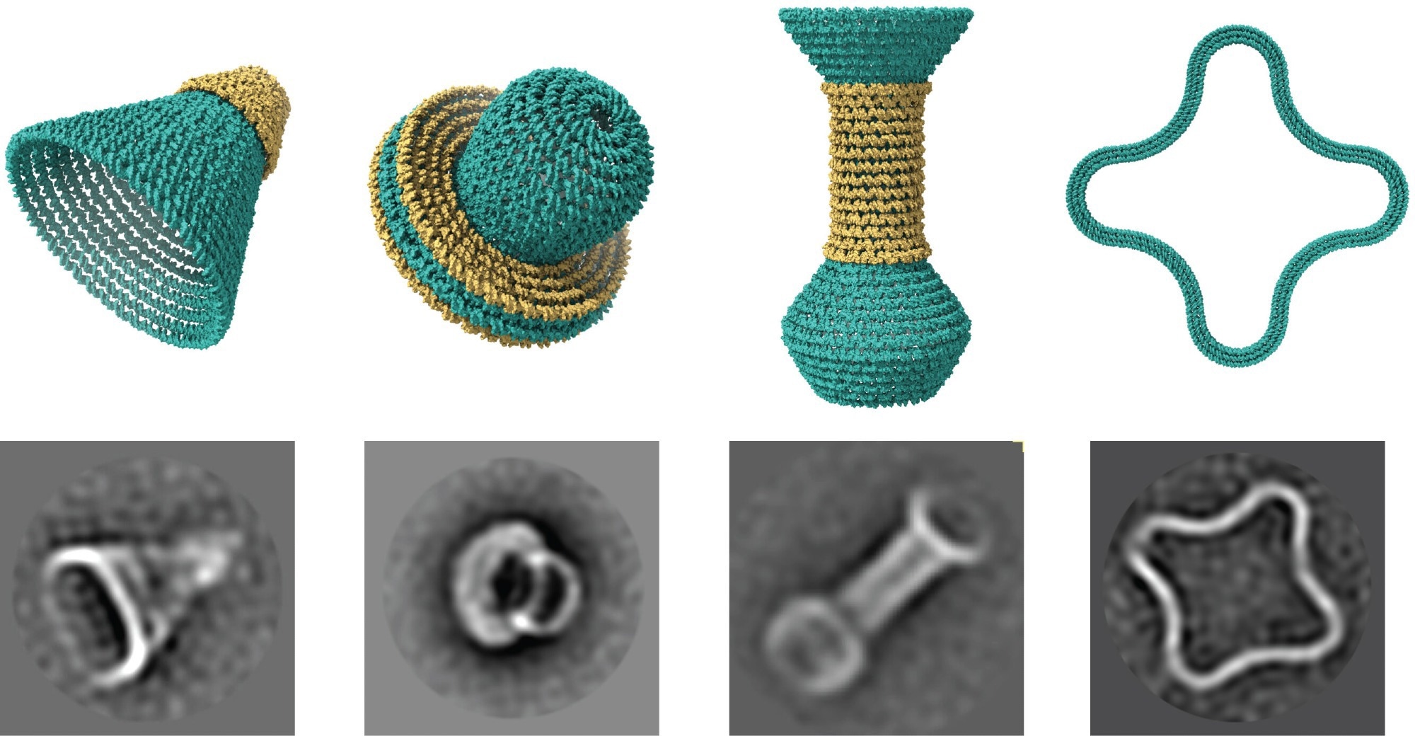 DNA Origami Used to Create Catalog of Nanostructures