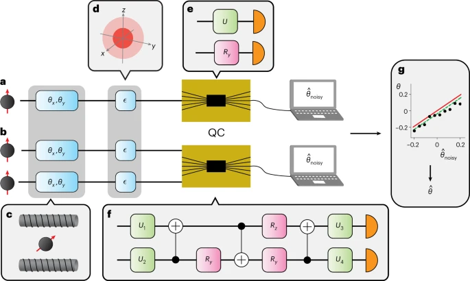 Experimental implementation of optimal collective measurements using quantum computers