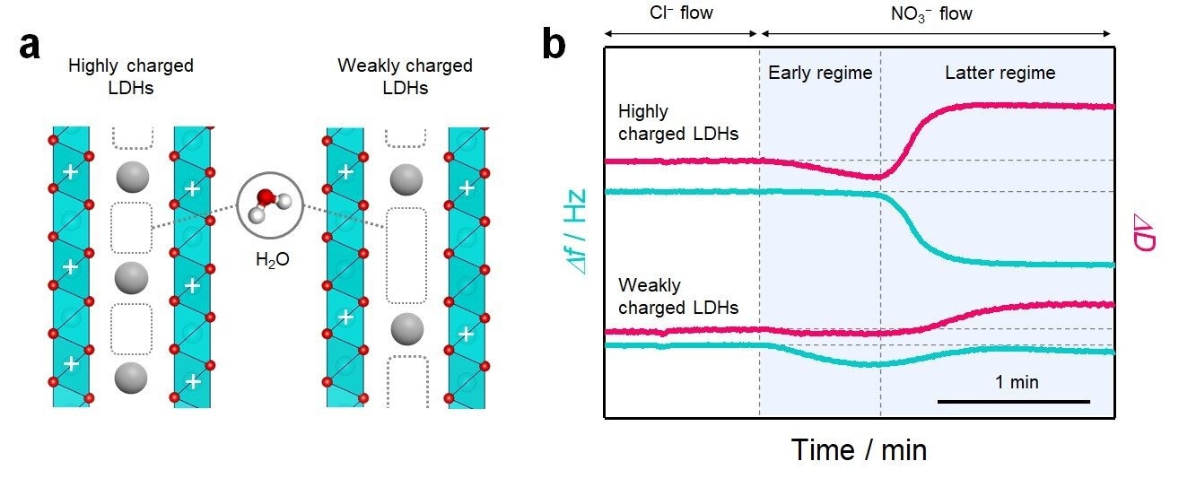 (a) Schematic of the interlayer structure in layered materials with different host charge densities. In the interlayer space, water molecules are incorporated into the pores that are not filled with charge compensating ions for host charge. (b) Quartz crystal microbalance with energy dissipation monitoring (QCM-D) profiles of ion-exchange reaction in LDHs with different host charge densities showing the change in the frequency (?f) and dissipation (?D). Credit: Nature Communications (2022). DOI: 10.1038/s41467-022-34124-9