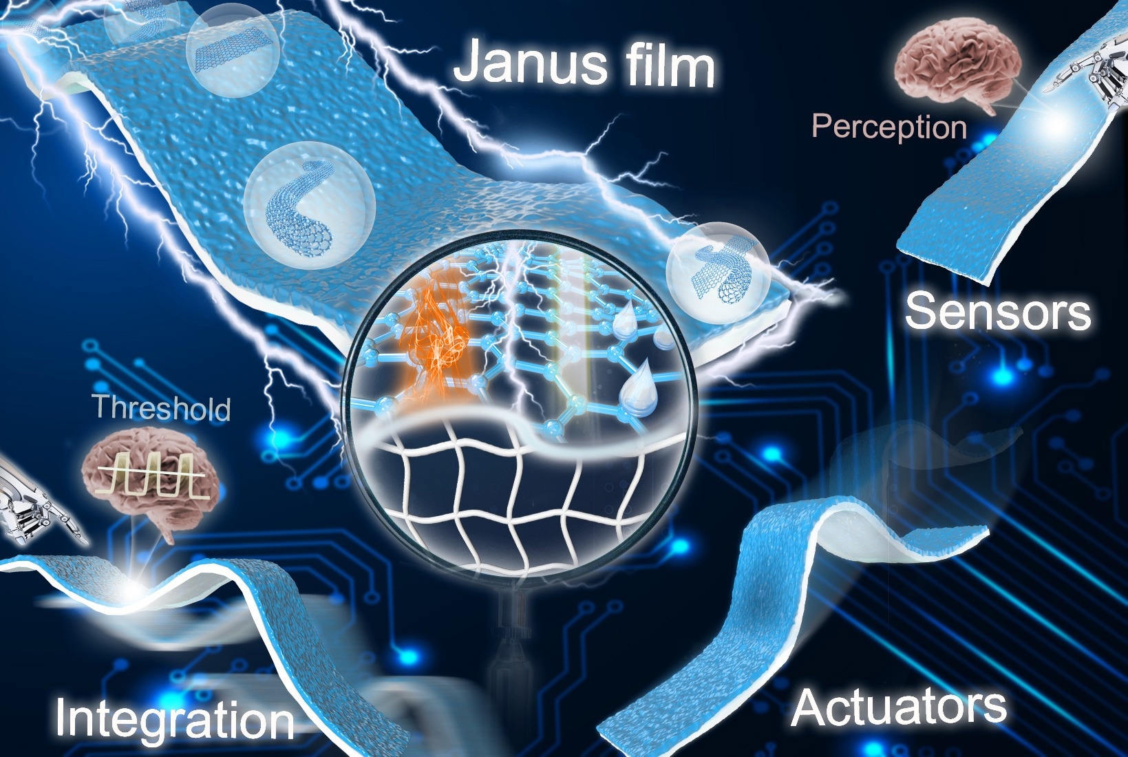 Janus films exhibit huge potential in actuation, sensing, advanced separation, energy conversion, storage, etc.