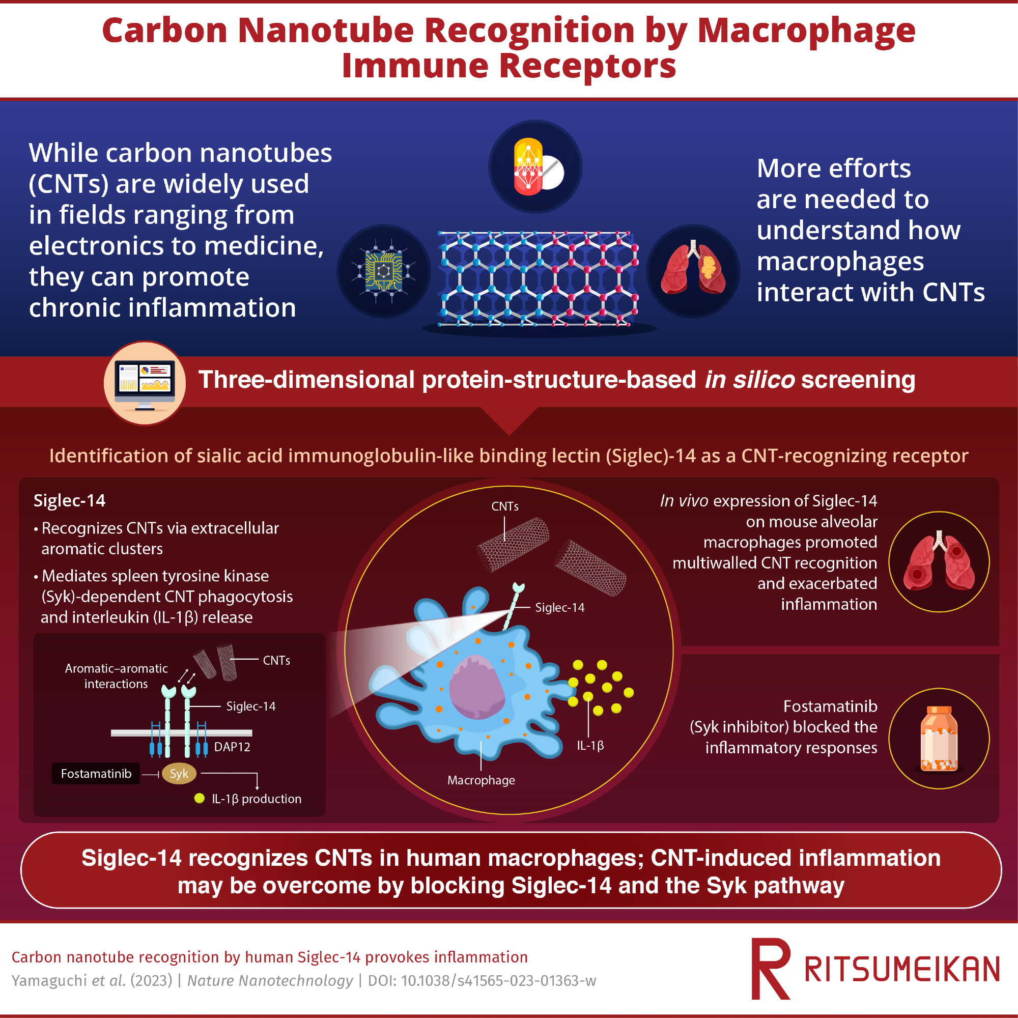“Siglec-14” Receptors on Human Macrophages Detect Carbon Nanotubes and Provoke Inflammation, Finds Study