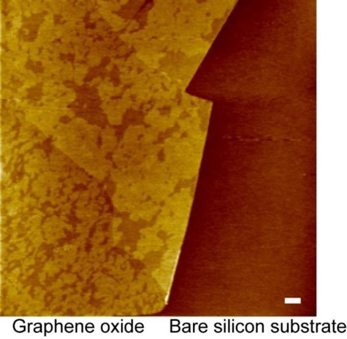 Analysis of Lipids Concentrating on Graphene Oxide