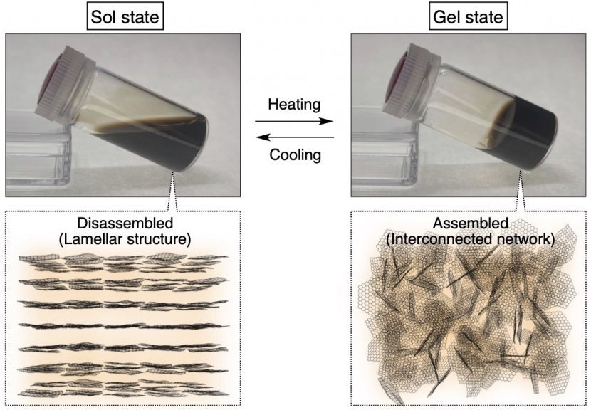 Read more about the article Countercation Engineered GO Nanosheets