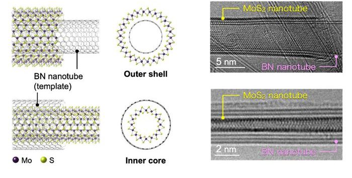 Boron-nitride nanotubes can template the growth of TMD nanotubes both inside and outside the tube. These can be directly observed by transmission electron microscopy (right). Image Credit: Tokyo Metropolitan University