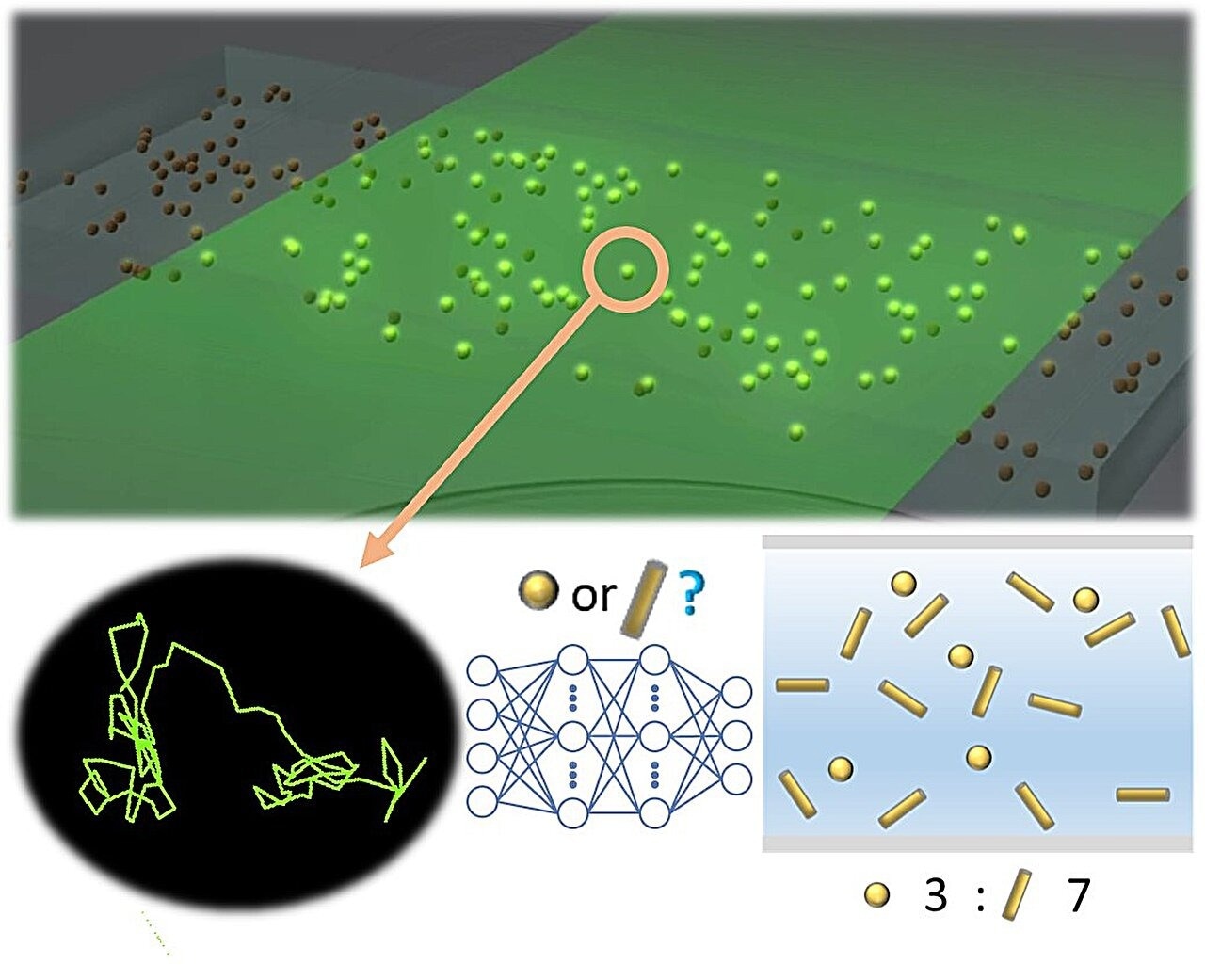 Deep Learning Tackles Nanoparticle Shape Identification Challenges