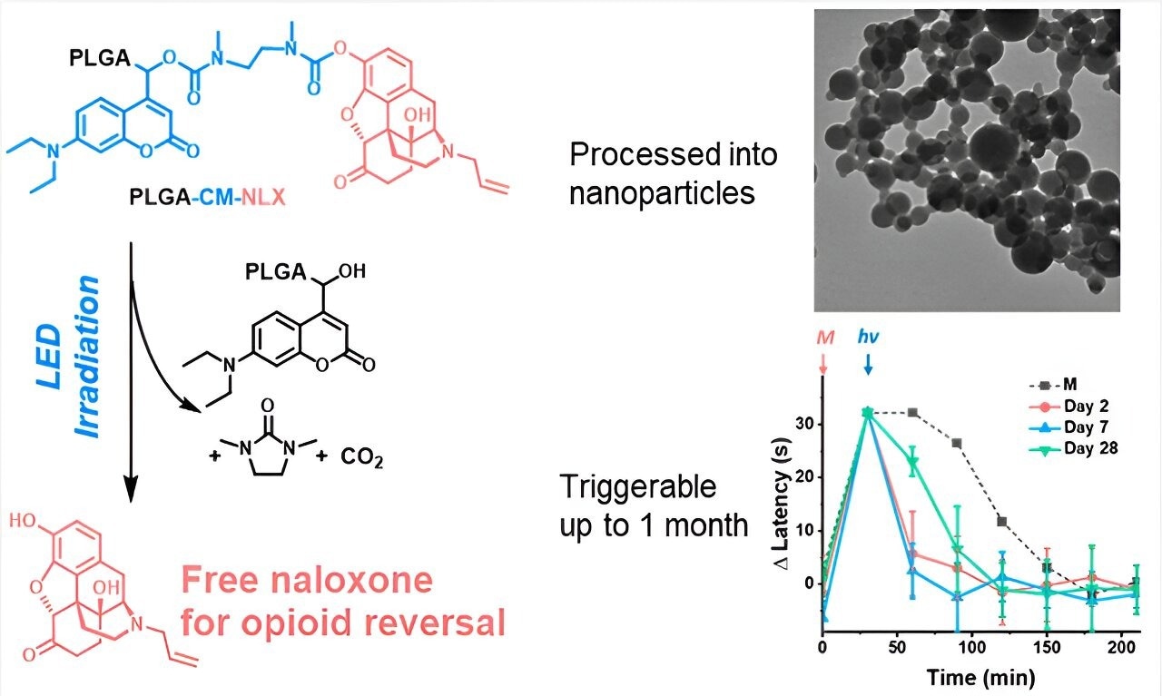 Injectable Nanoparticles Release Naloxone After Blue LED Trigger