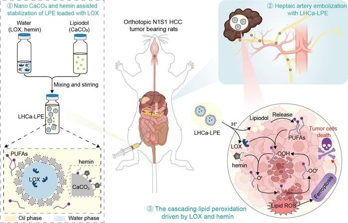 A Novel Strategy Developed for Better HCC Treatment