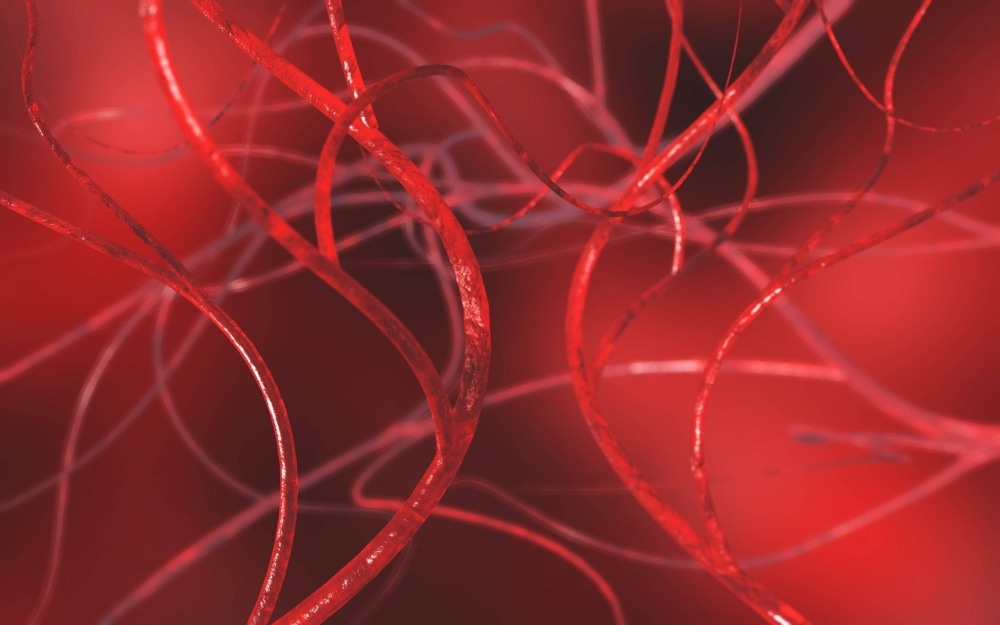 Blood vessels, arterial system 3D rendering