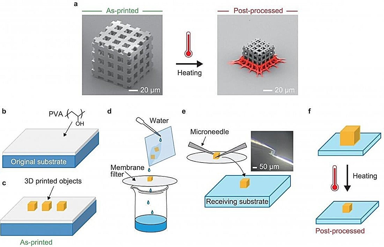 Lograr una contracción uniforme de nanoestructuras impresas en 3D