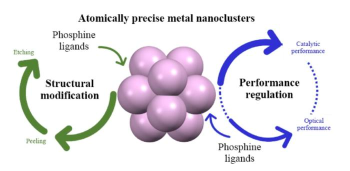Structural Alteration of Metal Nanoclusters Caused by Phosphine Ligands
