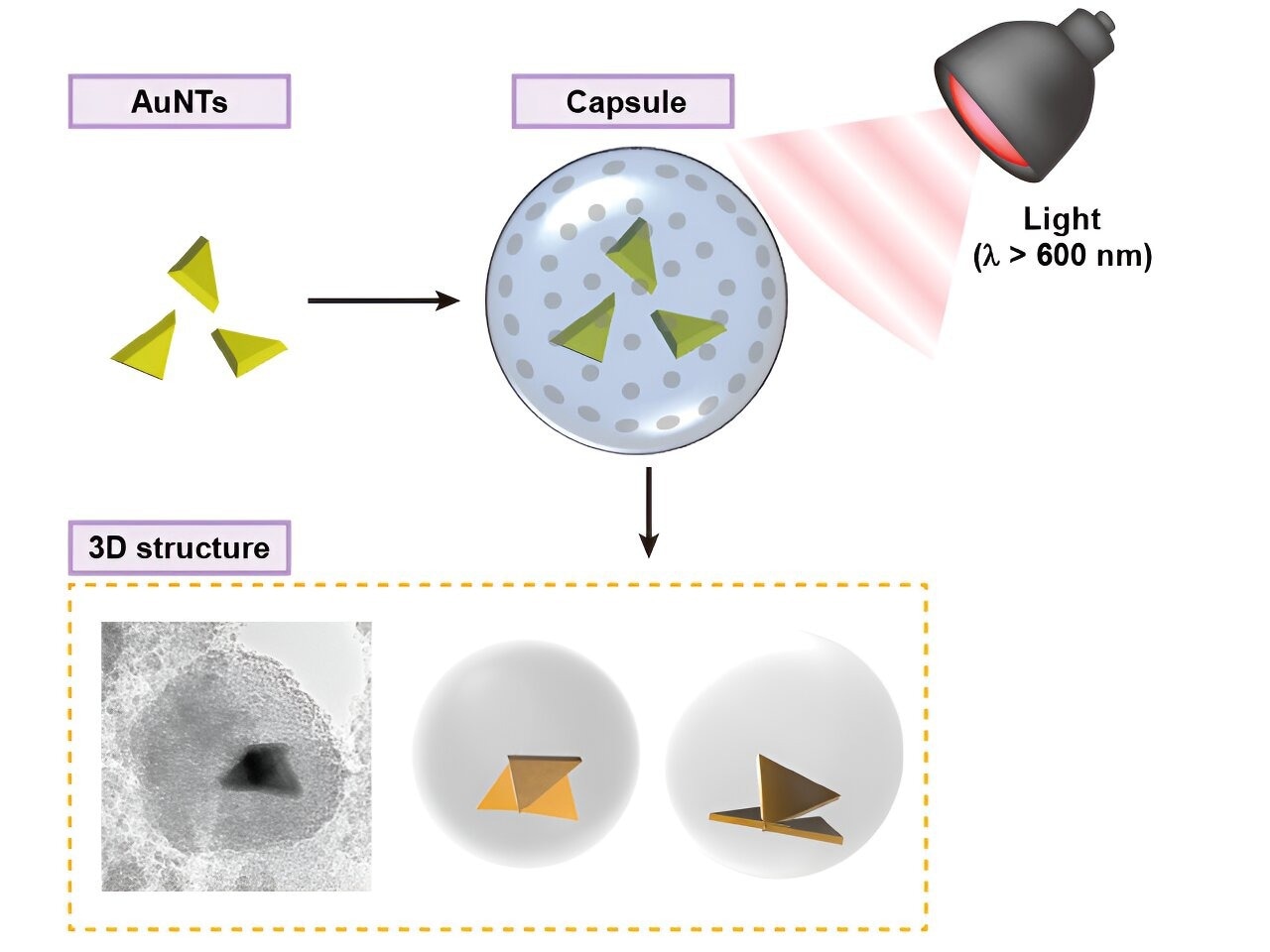 Nanopartículas de oro anisotrópicas en cápsulas submicrónicas: una construcción tridimensional
