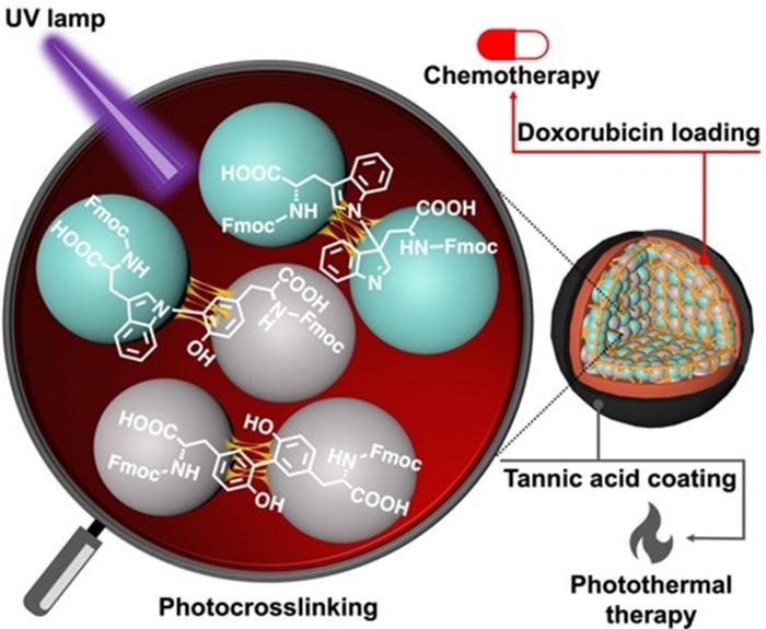 Novel Amino Acid Nanoparticles to Target Cancer Cells