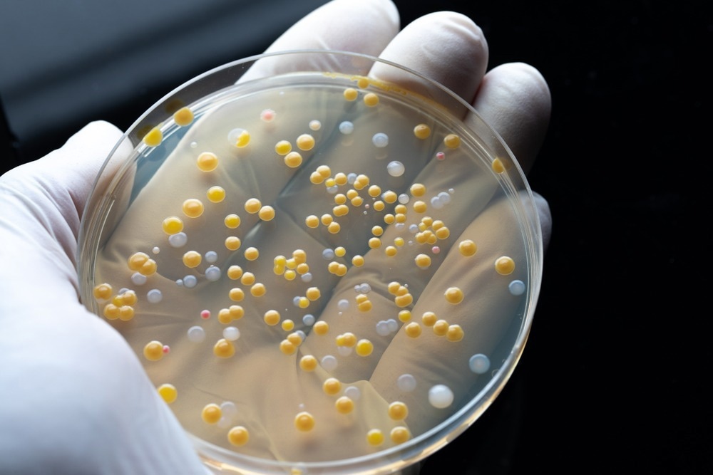 Biólogo muestra los resultados de su investigación contra la resistencia a los medicamentos en un laboratorio de microbiología