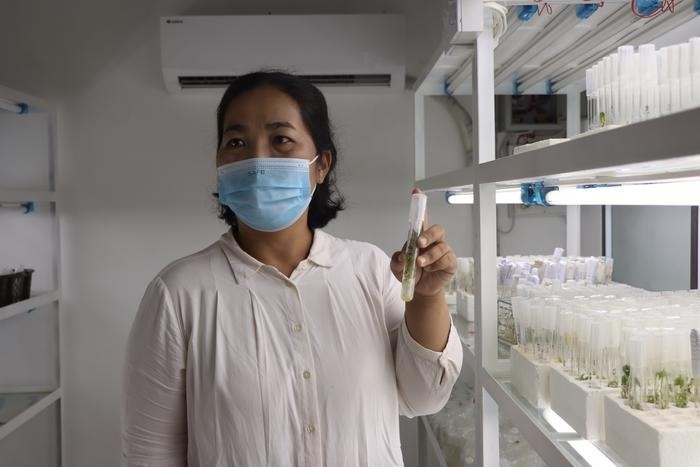 Harnessing Nanotechnology to Preserve Crops