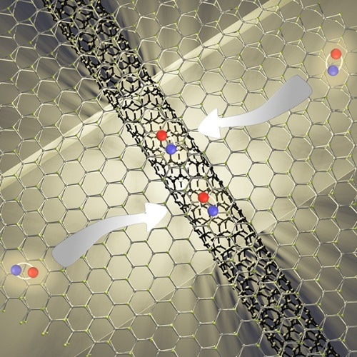 2D ‘Antenna’ Helps Generate Light in Carbon Nanotubes