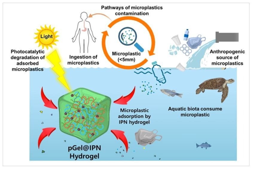 Engineered 3D Hydrogel Addresses Microplastic Contamination in Water