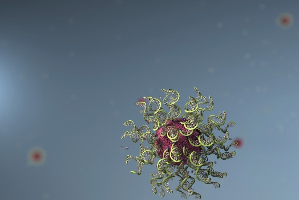 structured nanomedicines