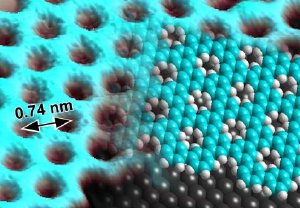 Synthesizing Graphene-Like Polymer with Well Defined Pores