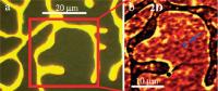 CVD Technique Forms Uniform Single-Layer Graphene Films on Dielectric Substrates