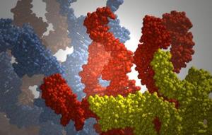 New Simulation Solution Solves Problem in DNA Self-Assembling Technology