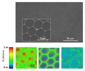 New Honeycomb Thin Films Aid Development of Transparent Solar Panels