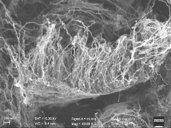 Graphene Allows Vertically Aligned Carbon Nanotubes to Grow on Diamonds