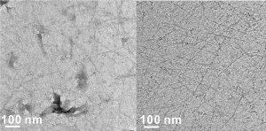 Carbon Nanotube Rebars Ease Handling of 2-D Graphene