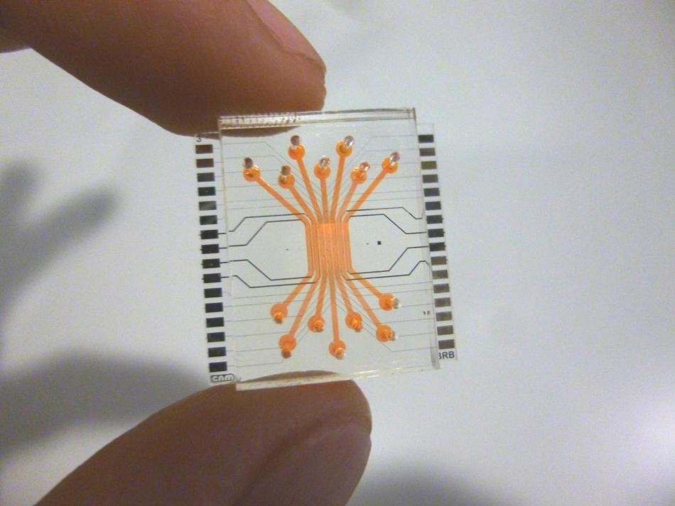 Microfluidic Device Mimics Structure and Physiological Conditions of the Blood-Retinal Barrier