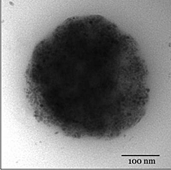 Under Magnetic Force, Nanoparticles May Deliver Gene Therapy