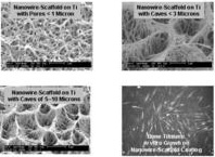 Nanowire Coating Increases Effectiveness of Titanium as a Biomaterial