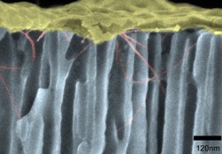 Using Single-Walled Carbon Nanotubes to Ease Electronics Assembly