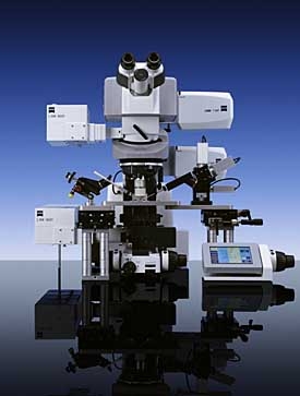 The LSM 7 MP Laser Scanning Microscope from Carl Zeiss Tailoring to the Needs of Multiphoton Microscopy
