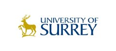 University of Surrey Awarded Major Grant as Part of 'Application of Nanotechnology in the Energy Business'