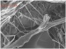 Carbon Nanotubes Significantly Improve Overall Toughness and Durability of Composites
