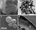 Scientists Develop New Generation of Microcapsules Delivering Chemicals on Demand