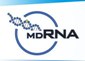 IPONZ Approves MDRNA's Patent Application for siRNAs and Delivery Peptides