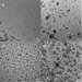 Nano Silver Coating Strong Against Bacteria Yet Body Tissue-Compatible
