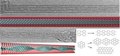 Novel Method Uses Carbon Nanotubes’ Inner Space for Graphene Nanoribbon Synthesis