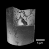 New X-Ray Microscope Provides Nano-Scale Structural Details in 3D