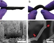 ORNL’s Computer Simulation Study Explains New Carbon Nanotube Sponge Formation