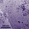 New Graphene-Cobalt Material Holds Potential to Replace Platinum in Fuel Cells