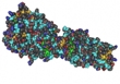 Novel Nanoparticles for Easier Biomarker Detection
