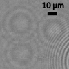 UCLA Creates Optical Microscope to Directly View Nanoscale Objects