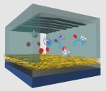 Velcro-Like Nanoscale Technology Helps Isolate Single Cancer Cells