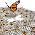 Butterfly-Like Fractal Quantum Spectrum Exhibited by Electron Energy in Graphene Moiré Structures