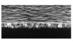 Graphene Nanodrapes Enhance Water-Resistant Properties of Materials with Rough Surfaces