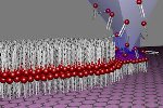Artificial Cell Membranes can be Written on Graphene Using Lipid Dip-Pen Nanolithography